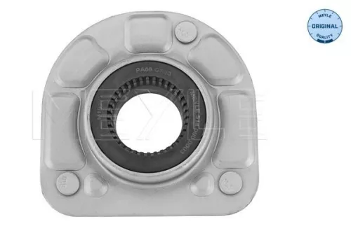 Federbeinstützlager