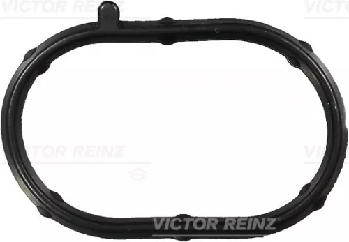 Dichtung, Ansaugkrümmergehäuse