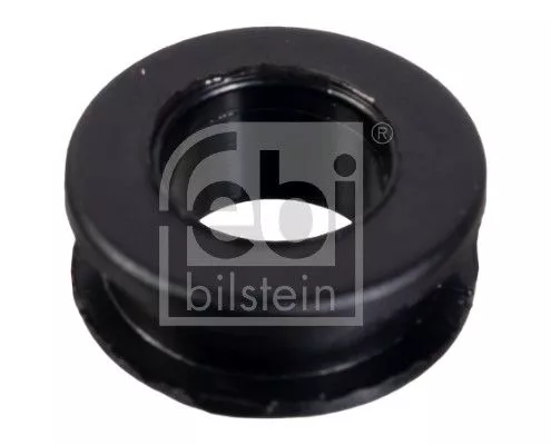 Buchse, Schaltstange